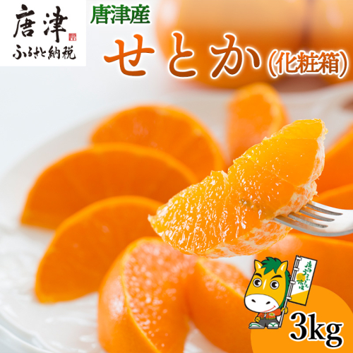 『先行予約』【令和8年1月下旬発送予定】唐津産 せとか 3kg 化粧箱 みかん ミカン オレンジ フルーツ 果物 ギフト 577323 - 佐賀県唐津市