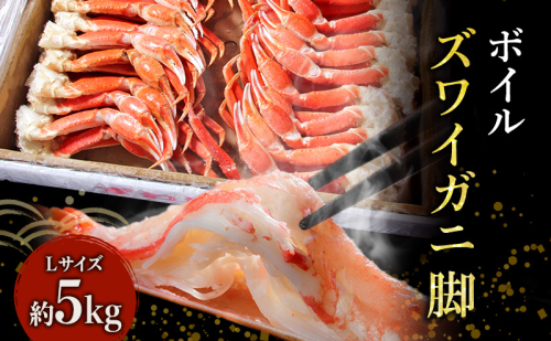 特価 蟹 ボイル ズワイガニ 脚 L 5kg 577501 - 宮城県亘理町