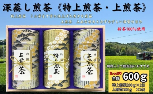 深蒸し煎茶《特上煎茶[200g×1本]・上煎茶[200g×2本]》 57750 - 静岡県袋井市
