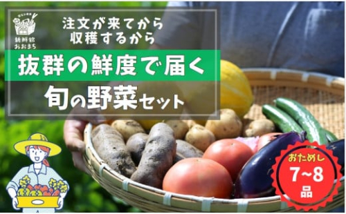 【注文が来てから収穫発送！】収穫したばかりの新鮮野菜セットお試しコース 《7～8品》 季節のお野菜 おまかせ お楽しみ 獲れたて産地直送 旬 夏野菜 ベジタブル ヘルシー 健康 詰め合わせ 岩手県 一関市産