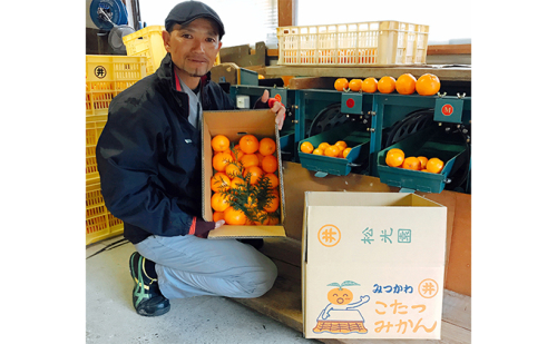 こたつみかん10kg(サイズいろいろ詰め合わせ) 果物類 柑橘類 フルーツ ミカン 57774 - 静岡県袋井市