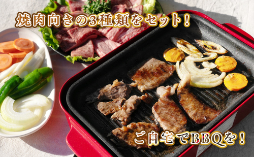 【数量限定】稀少！遠州袋井牛 焼肉セット 3種 計1.2kg 贅沢 ヘルシー  料理 グルメ 肉 BBQ アウトドア 人気 厳選 袋井市 お肉 牛肉 ロース バラ(カルビ) バーベキュー  57804 - 静岡県袋井市