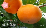 【YA11】輝太郎 [柿]（進物用3kg箱）10月出荷予定 ＜数量限定＞