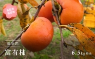 【YA12】富有柿（進物用6.5kg箱）11月出荷予定＜数量限定＞