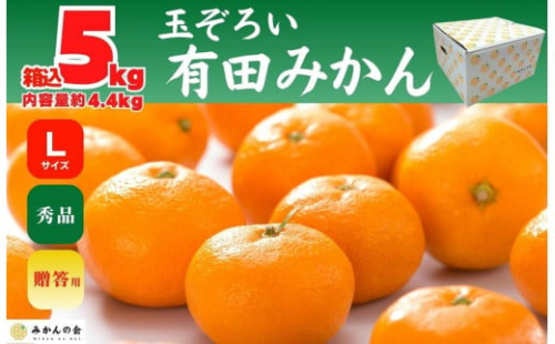 みかん Lサイズ 秀品 箱込 5kg (内容量約 4.4kg) 有田みかん 和歌山県産 産地直送 贈答用 ［2025年11月中旬より順次出荷予定］［みかんの会］ 578766 - 和歌山県有田川町