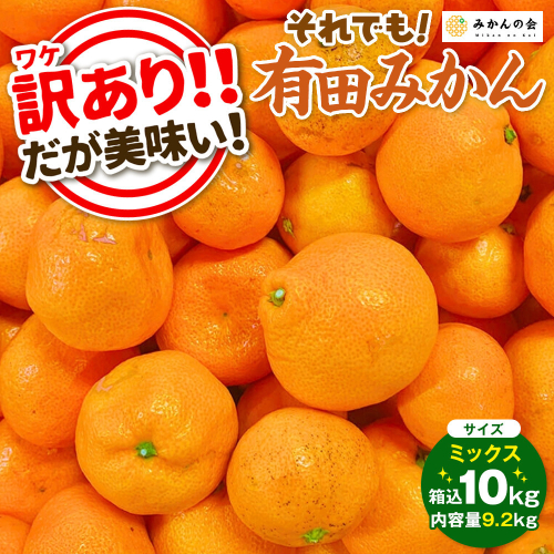 訳あり それでも 有田みかん 箱込 10kg (内容量約 9.2kg)  サイズミックス B品 有田みかん 和歌山県産 産地直送 家庭用［2025年11月中旬より順次出荷予定］［みかんの会］ 578777 - 和歌山県有田川町
