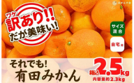 訳あり それでも 有田みかん 箱込 2.5kg (内容量約 2.3kg) サイズミックス B品 有田みかん 和歌山県産 産地直送 家庭用［2025年11月中旬より順次出荷予定］［みかんの会］