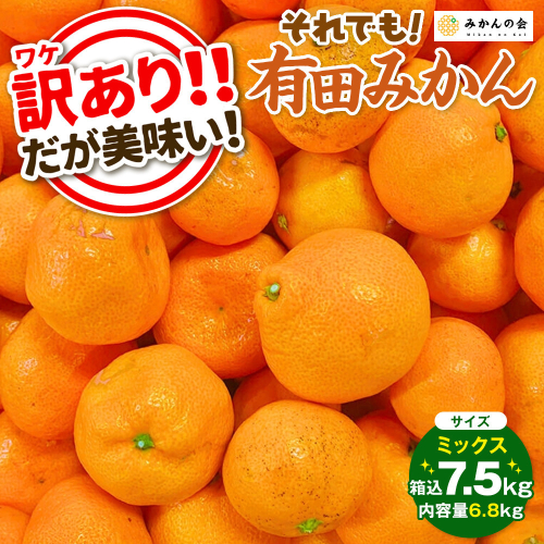 訳あり それでも 有田みかん 箱込 7.5kg (内容量約 6.8kg)  サイズミックス B品 有田みかん 和歌山県産 産地直送 家庭用［2025年11月中旬より順次出荷予定］［みかんの会］ 578779 - 和歌山県有田川町