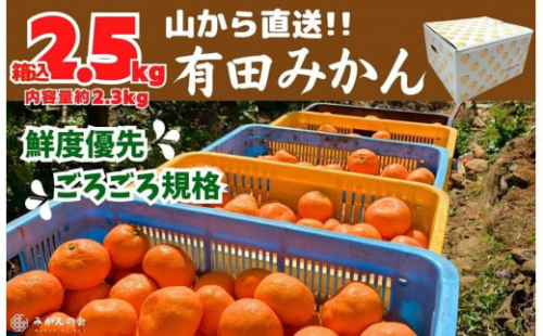 みかん 山から直送 箱込 2.5kg ( 内容量約 2.3kg ) 鮮度優先ごろごろ規格 和歌山県産 産地直送 家庭用［2025年11月中旬より2026年1月中旬頃順次出荷予定］［みかんの会］みかん 果物 みかん フルーツ みかん 和歌山 みかん 柑橘類 みかん 和歌山県産 みかん 有田 みかん 578781 - 和歌山県有田川町