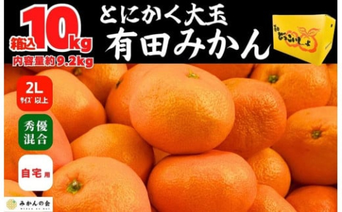 みかん 大玉 箱込 10kg ( 内容量約 9.2kg ) 2Lサイズ以上 秀品 優品 混合 有田みかん 和歌山県産 産地直送 家庭用 みかんの会 みかん ミカン 蜜柑 温州みかん 柑橘 果物 フルーツ 人気 和歌山県 どっこいしょ  果実 甘味 酸味［2025年11月中旬より順次出荷予定］ 578787 - 和歌山県有田川町