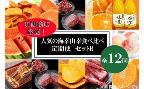 【魚鶴商店厳選！】人気の海幸山幸食べ比べ【定期便全12回】セットB【UT110】 579765 - 和歌山県上富田町