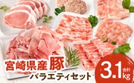 宮崎県産豚 バラエティセット7種 合計3.1kg_M132-038