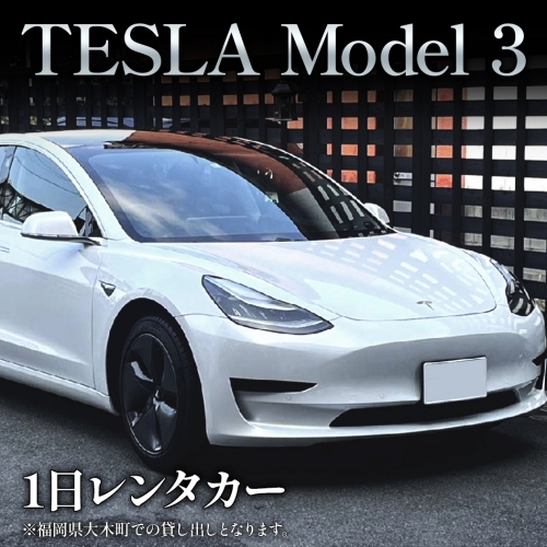 TESLA(テスラ)モデル3のレンタカーでEV(電気自動車)体験＆サスティナブル観光！　CD10 580033 - 福岡県大木町