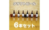 MA1507 クラフトビール（地ビール）6類【ピオーネ2種、梅、はちみつ、もち麦、お茶】