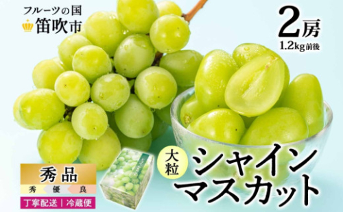 【2026年発送★先行予約】シャインマスカット 2房 1.2kg前後※クール便配送 177-009 580165 - 山梨県笛吹市