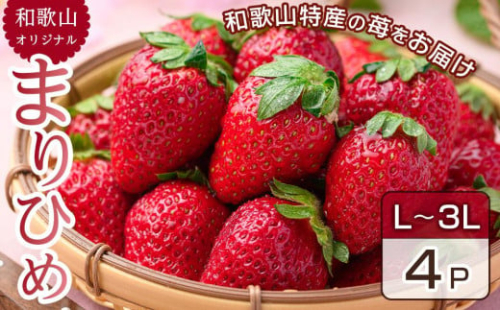 2月中旬より発送 和歌山県 オリジナル まりひめ イチゴ4パック入り（3L～L寸） 580333 - 和歌山県那智勝浦町