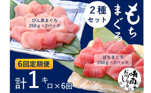 【6回定期便】バチマグロ切落し×びん長マグロ中トロ切落し 合計1kg（各250g×2パック）×6回【配送不可：離島】 580352 - 静岡県浜松市