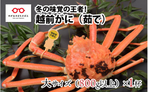 【指定日着可】北陸の冬の味覚の王者！越前がに（オス）「ずわいがに」大サイズ800g以上 × 1杯 [H-11003] 580385 - 福井県鯖江市