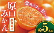 みかん [先行予約]原口みかん 約5kg ミカン 柑橘 原口みかん 早生みかん 贈答 ギフト みかん [Da・IWASAKI FARM] 