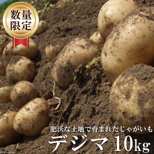 AG093【令和6年度出荷分】肥沃な土地で育まれた じゃがいも(デジマ)<数量限定> 580651 - 長崎県島原市