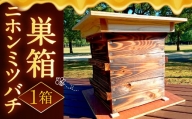 ニホンミツバチ 巣箱 1セット ミツバチ ハチ 蜜蜂 蜂 蜂蜜 はちみつ ハチミツ