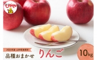 2023年産 りんご(品種おまかせ)10kg JA提供　P-2345