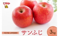 2023年産 りんご「サンふじ」3kg JA提供　P-2347