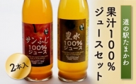 FT18-175【道の駅たまかわ】果汁100％ジュースセット