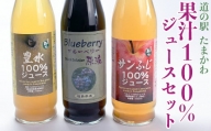 FT18-179【道の駅たまかわ】玉川村産 果汁100％ジュースセット