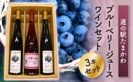 FT18-180【道の駅たまかわ】ブルーベリージュース・ワインセット