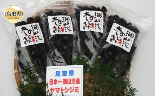 B24-070 鳥取市湖山池の大しじみ(冷凍・砂抜き) 581287 - 鳥取県鳥取県庁
