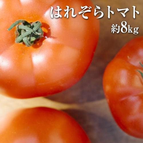熊本県産 はれぞらトマト 約8kg 四ツ山食品《2019年11月下旬~2020年6月下旬頃より順次出荷(土日祝除く)》 | au PAY ふるさと納税