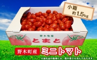 T02 栃木県野木町産ミニトマト小箱（約1.5kg）【2023年10月ごろから発送予定】