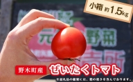 T06 栃木県野木町産ぜいたくトマト(約1.5kg)