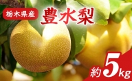 N03 梨 なし 豊水 5kg フルーツ 先行予約 2024年 8月 下旬頃 栃木県