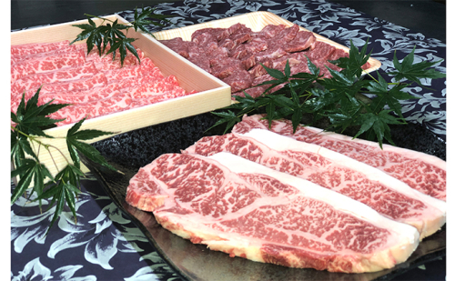 若狭牛 プレミアムセット（ サーロインステーキ用 モモ焼肉用 ローススライス ） 牛肉 お肉  58232 - 福井県おおい町