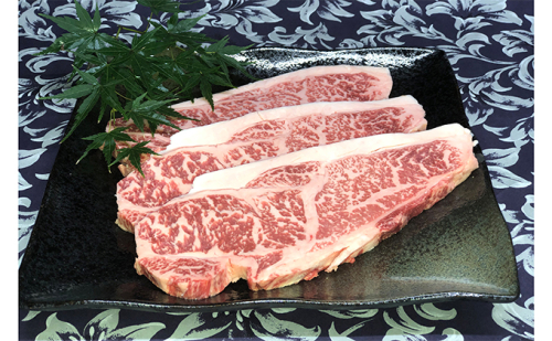 福井県のブランド牛 若狭牛 サーロインステーキ用 200g×3枚 牛肉  58233 - 福井県おおい町