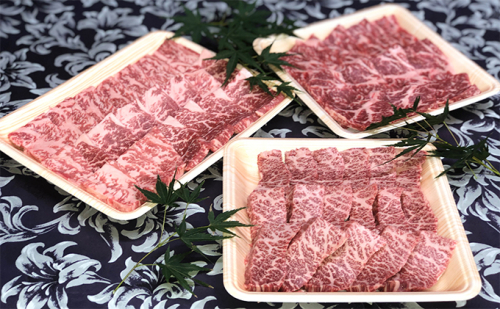 福井県のブランド牛 若狭牛 焼肉セット 【 牛ロース 牛モモ 牛バラ 】 お肉 牛肉  58235 - 福井県おおい町