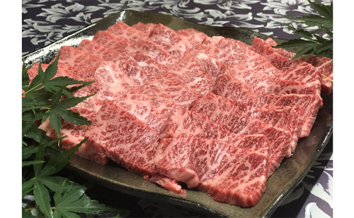 福井県のブランド牛 若狭牛 特上カルビ 焼肉用 700g お肉 牛肉 バラ(カルビ)  58236 - 福井県おおい町
