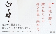 【U521】【絽紗】白を贈る－This is JAPAN　ジオメトリック市松模様のグラデーションストール