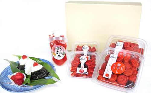 うめっぽの梅干いろいろセット　福井県おおい町産梅使用 梅干し  58251 - 福井県おおい町