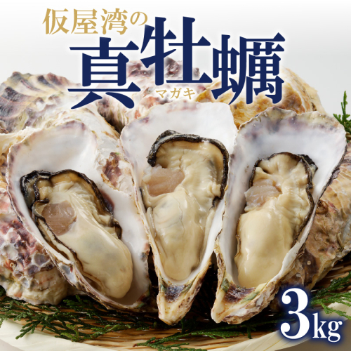 仮屋湾の真牡蠣（3kg）【殻付き】（1月配送） 58273 - 佐賀県玄海町