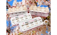 No.122 匝瑳の“さくら色”たまごLサイズ贈答用　60個 ／ 卵 タマゴ 玉子 新鮮 千葉県