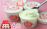 No.003 「至福の桃ソルベ」6個 ／ アイス シャーベット スイーツ もも モモ 福島県 特産品