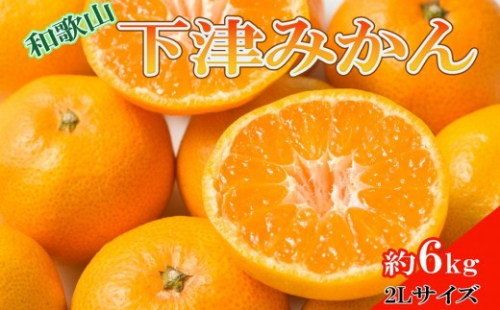 ［産直・秀品］和歌山下津みかん約6kg（2Lサイズ）★2026年11月中旬頃より順次発送［TM75］ 583611 - 和歌山県印南町