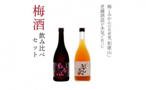 和歌山の贅沢梅酒ギフトセット(紅南高・完熟みかん梅酒)