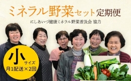 【ふるさと納税】西会津ミネラル野菜セット定期便（小）2回 F4D-0127