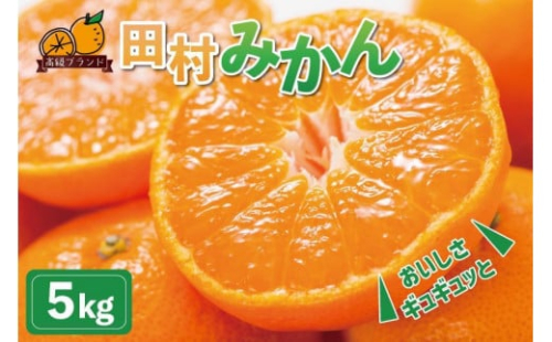 高級ブランド田村みかん　5kg【2025年11月下旬以降発送】【先行予約】【UT14】