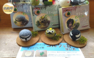 が23-3 H1羊毛フェルトヒーリングバードキット3種セット第3弾（シジュウカラ、ゴジュウカラ、キクイタダキ）