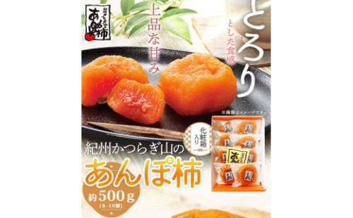 紀州かつらぎ山のあんぽ柿　化粧箱入　約５００ｇ［2027年1月中旬以降発送予定］［UT07］ 584890 - 和歌山県印南町
